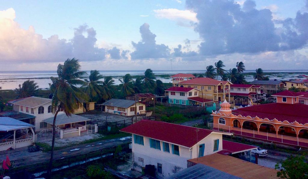 a group of houses with palm trees and a body of water