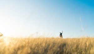 Person taking a selfie in a field