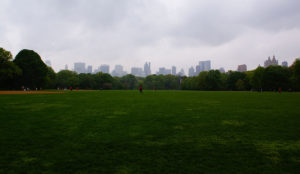 a group of people on a field with a city in the background