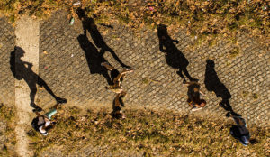 a group of people walking on a cobblestone path