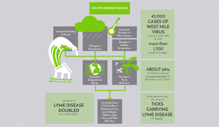 a graphic of a disease