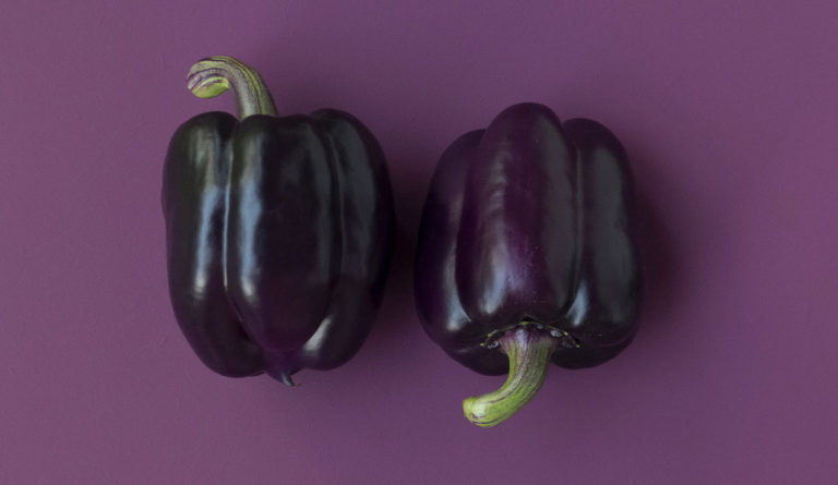 two purple peppers on a purple background