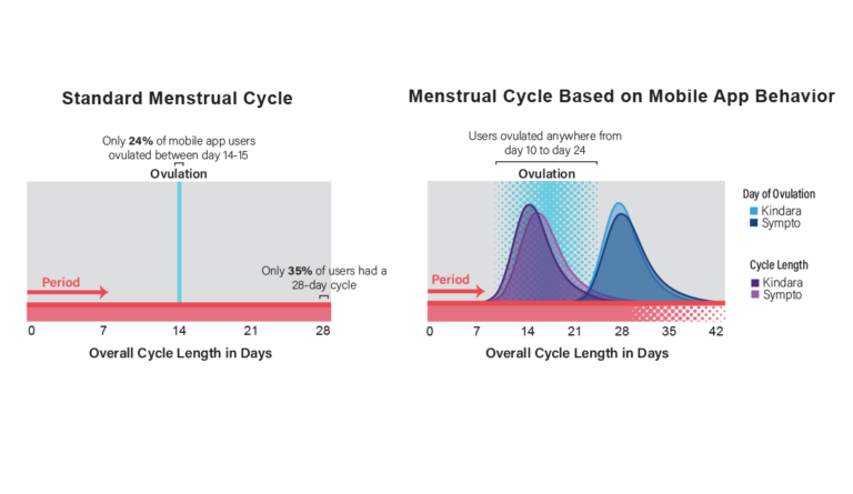 a comparison of menstrual cycle