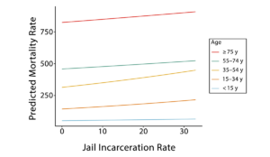 a graph of different colored lines