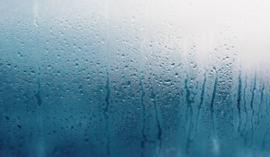 water droplets on a window