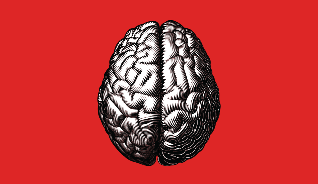 a black and white drawing of a brain