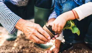 a person and child planting a plant