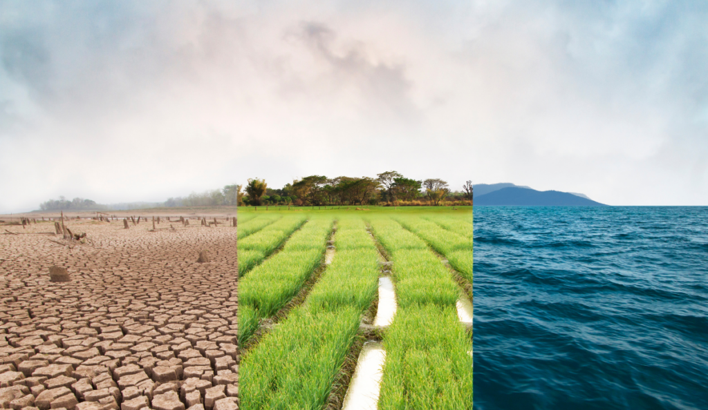 triptych of the environment, with dirt, grass, and water