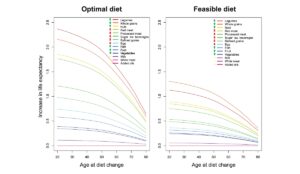 two graphs depicting life expectancy with an optimal diet (left) and a feasible diet (right)