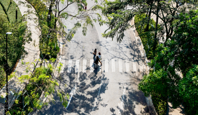 Aerial view of pedestrians crossing a zebra crossing amidst the green canopy of trees and the surrounding urban environment