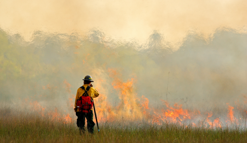 Wildland firefighter observing fire