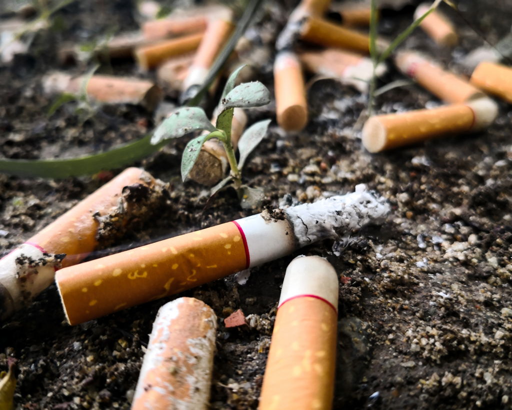 small pile of used cigarette butts in the dirt and grass