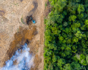 Aerial view of deforestation. Climate change concept