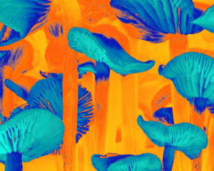 A surreal digital artwork featuring psilocybin mushrooms in intense thermal-like colors