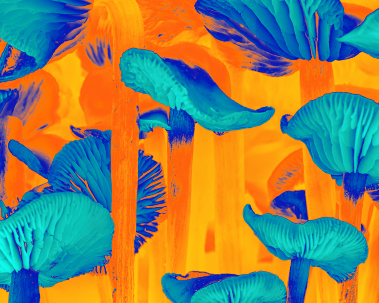 A surreal digital artwork featuring psilocybin mushrooms in intense thermal-like colors