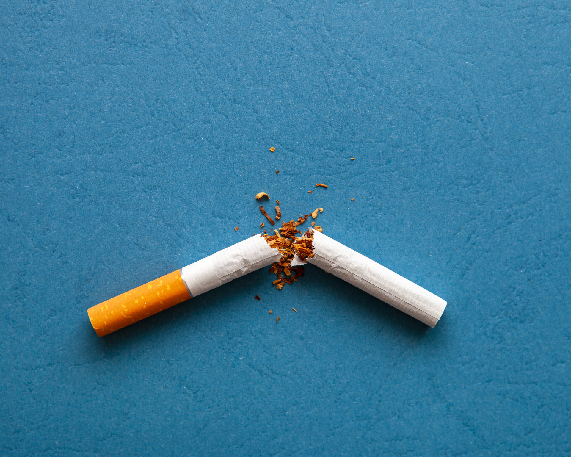 Broken cigarette with scattered tobacco for smoking cessation concept