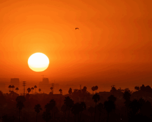 A hot summer sun rises over Los Angeles during a summer heatwave