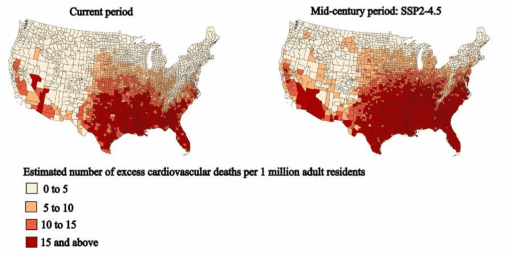 Maps showing the estimated number of excess cardiovascular deaths associated with extreme heat per 1 million adult residents in the current (2008–2019) and midcentury (2036–2065) periods in the contiguous United States.