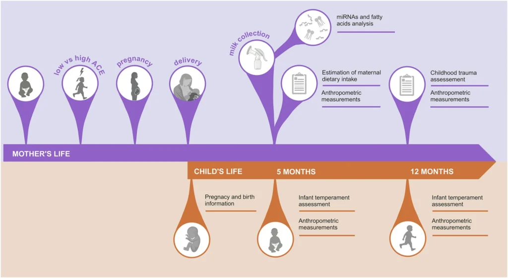 Graphic showing study procedures for understanding breast milk composition of mothers with high ACE scores