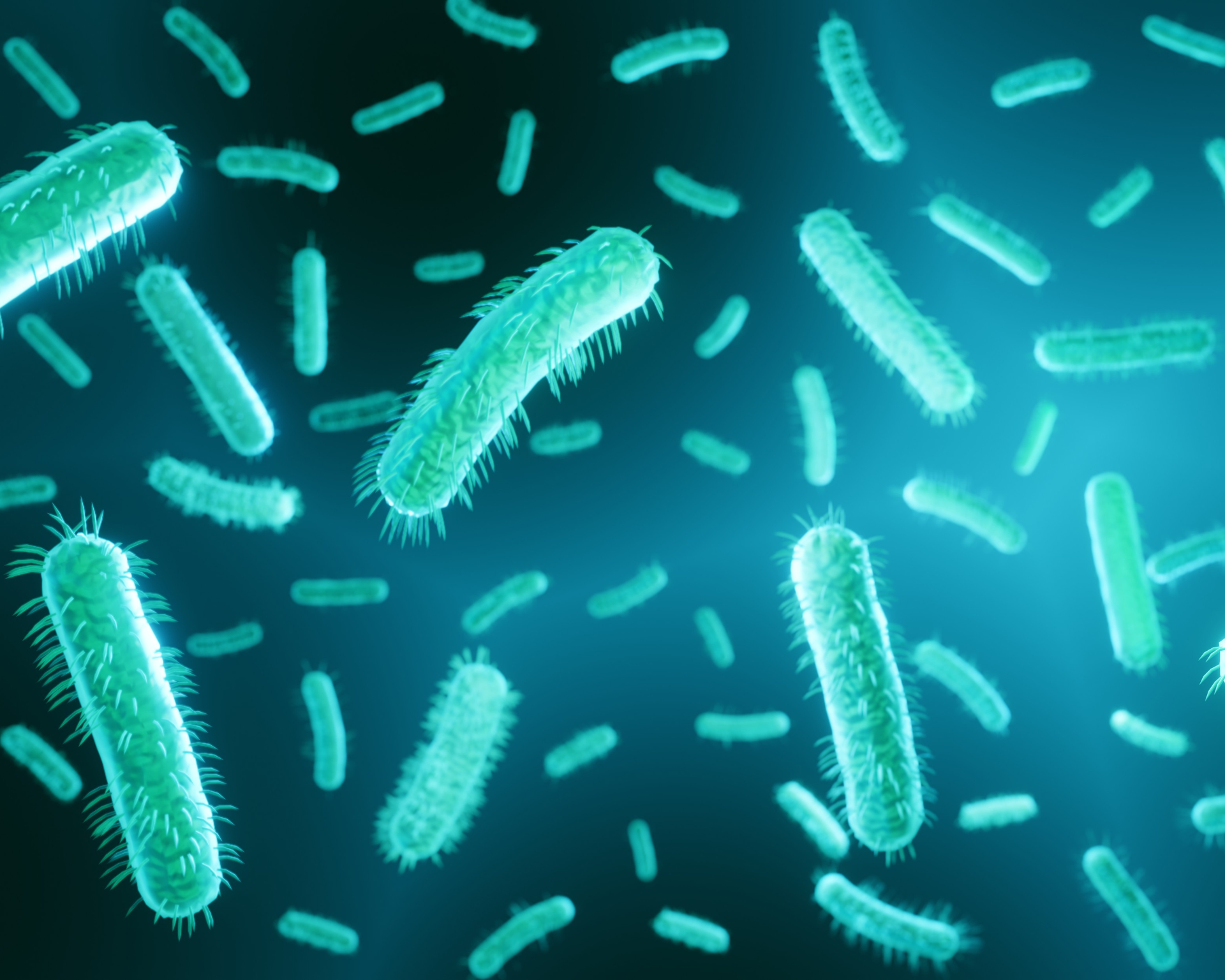 Illustration of E. coli bacteria, a main contributor to UTIs