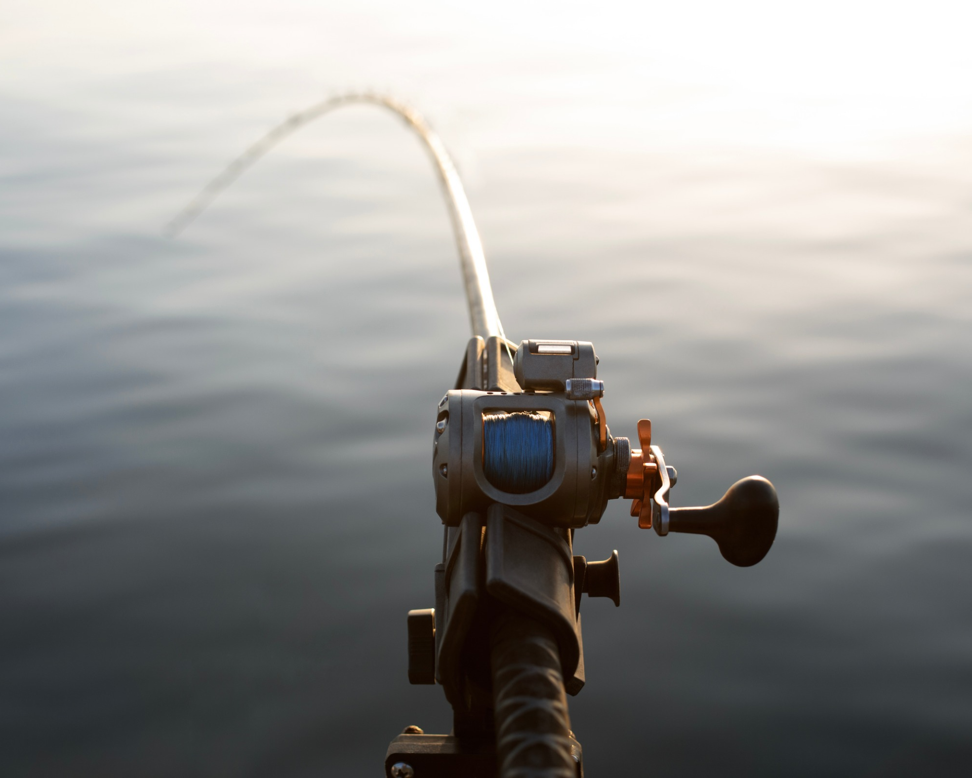 Featured image for post: Something’s Fishy…