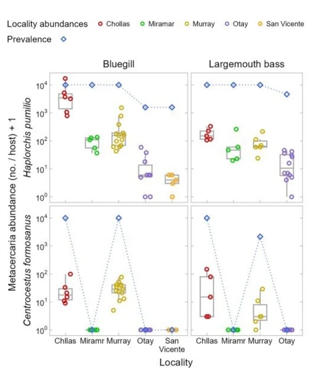 Graph showing the abundance and prevalence of metacercariae of 2 zoonotic trematodes, Haplorchis pumilio and Centrocestus formosanus, in game fishes sampled at southern California fishing localities. A, Infection abundance and prevalence in the 2 most highly sampled fish species by locality.