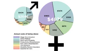 a chart of different colored circles with numbers
