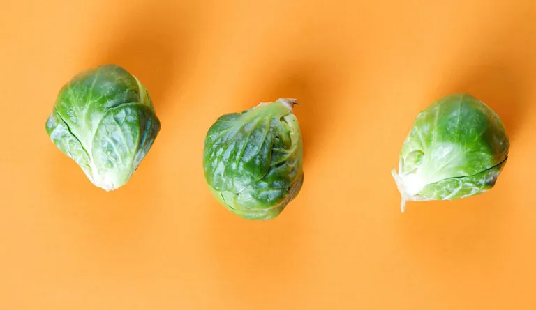 a group of green vegetables