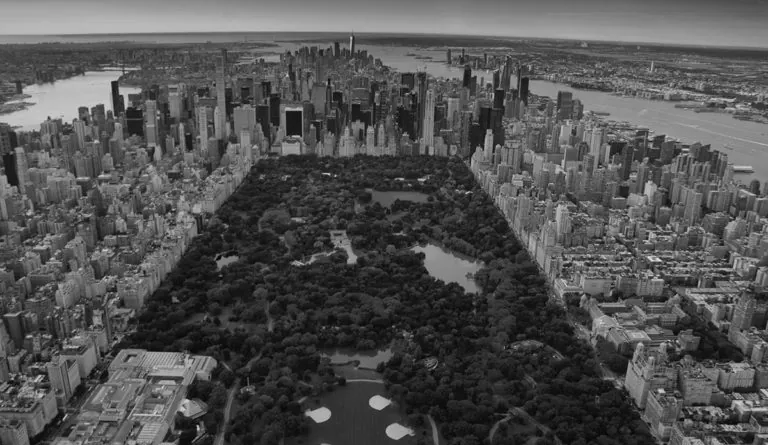 a city with a park and water in the background