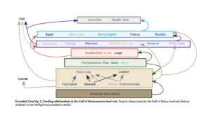 a diagram of food and fish