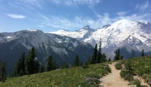 a path with flowers and trees in front of a mountain