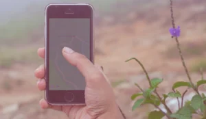 a person holding a phone