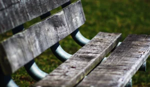 a close up of a wooden bench