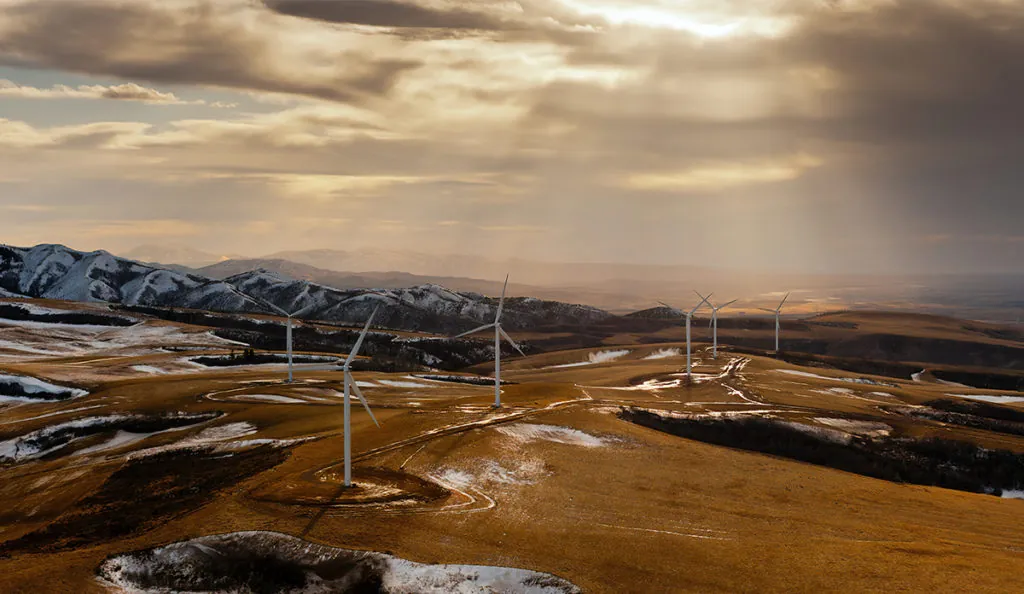 wind turbines in a field