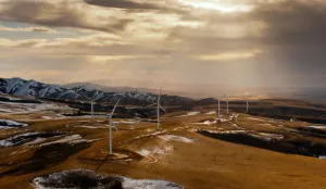 wind turbines in a field