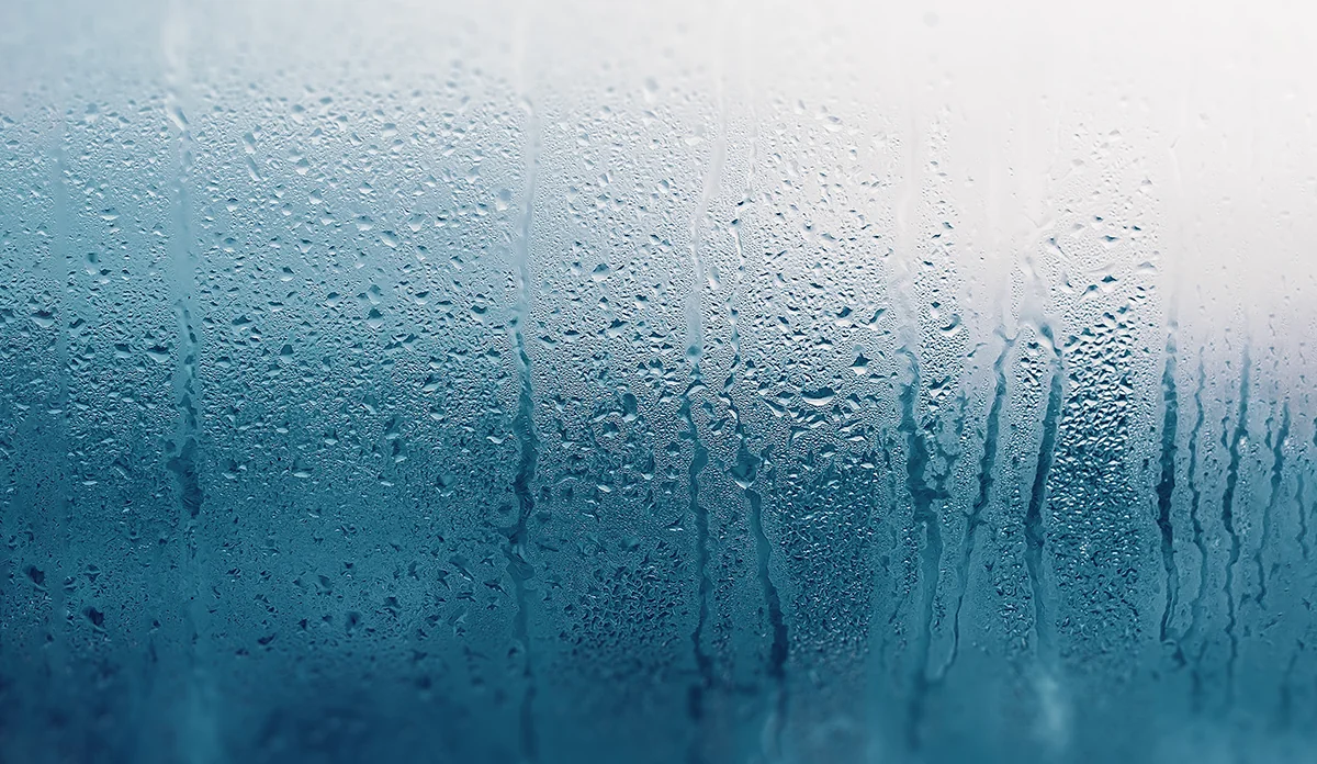 water droplets on a window