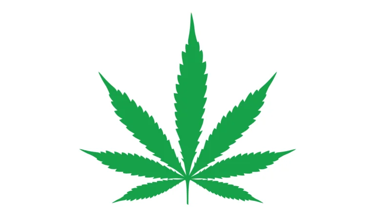 a green leaf with four leaves