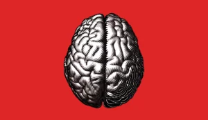a black and white drawing of a brain