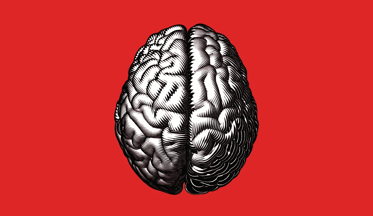 a black and white drawing of a brain