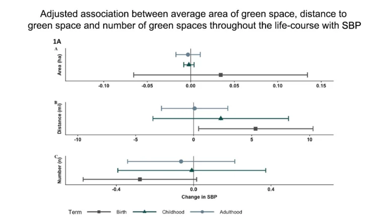 a graph of different sizes and colors