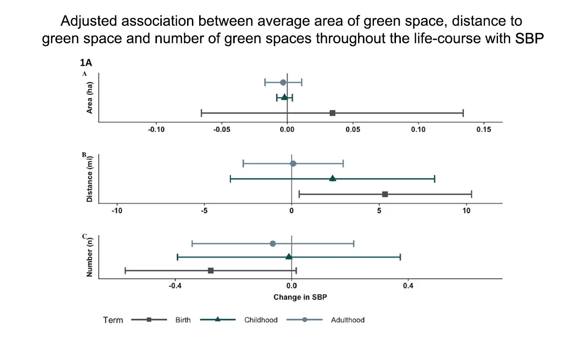 a graph of different sizes and colors