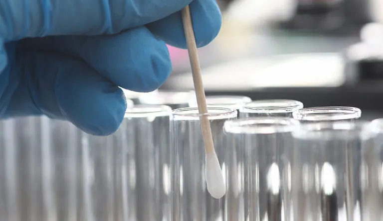 a hand holding a cotton swab over test tubes