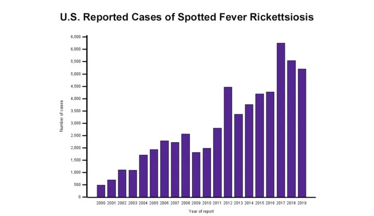 a graph of a number of cases