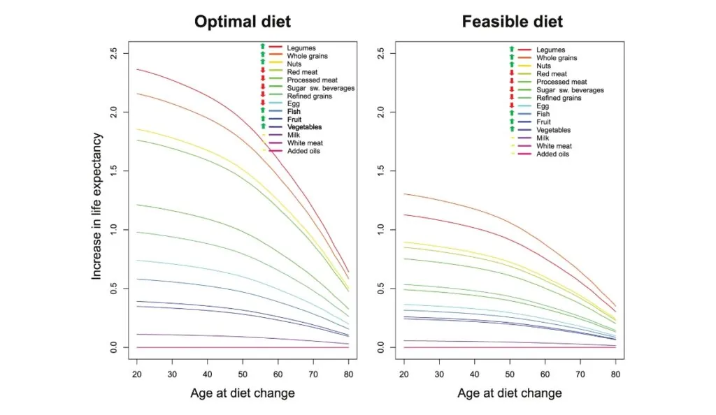 two graphs depicting life expectancy with an optimal diet (left) and a feasible diet (right)