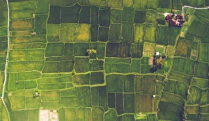 arial landscape of rural farmland