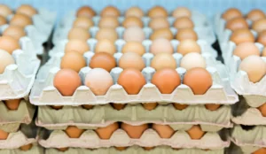 close up image of eggs in the poultry aisle refrigerator at the grocery store