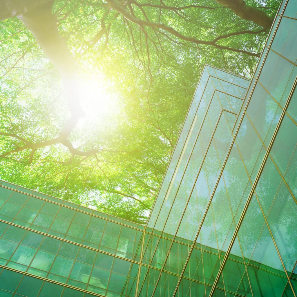 a building with trees and sun shining through it