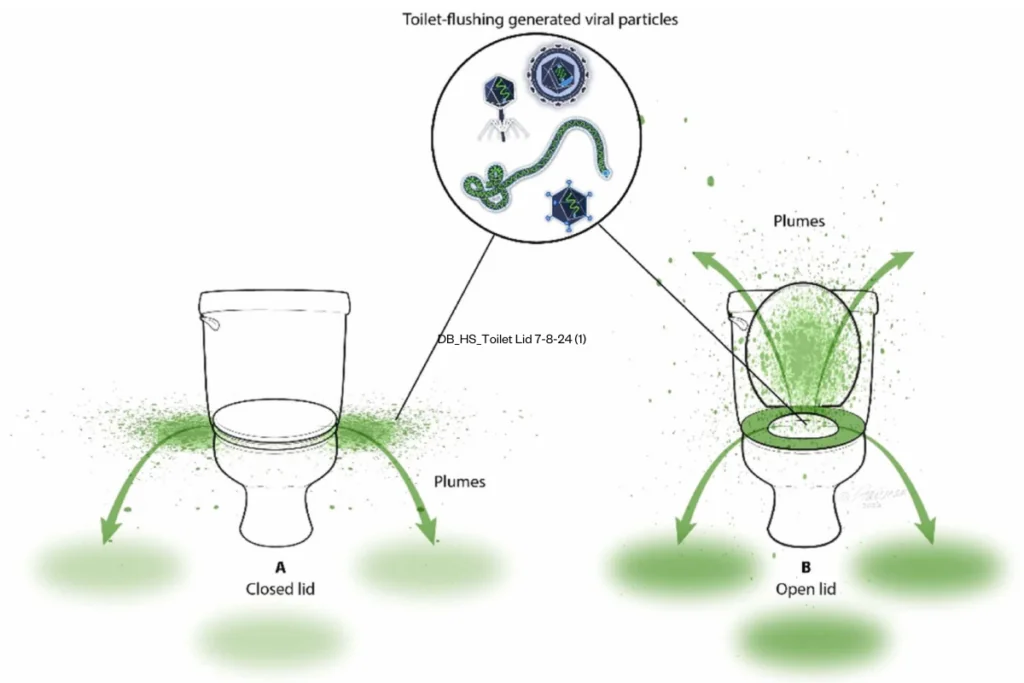 Schematic depiction of bacterial spread to adjacent areas after flushing a home toilet