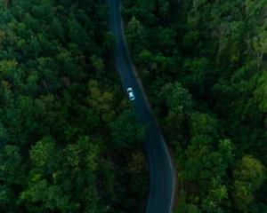 Aerial view of car driving on road among dark green pine forest