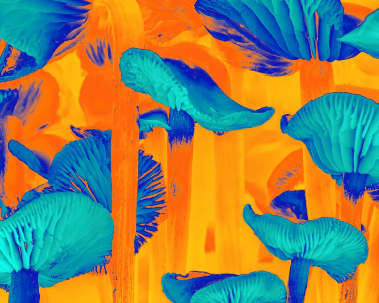A surreal digital artwork featuring psilocybin mushrooms in intense thermal-like colors